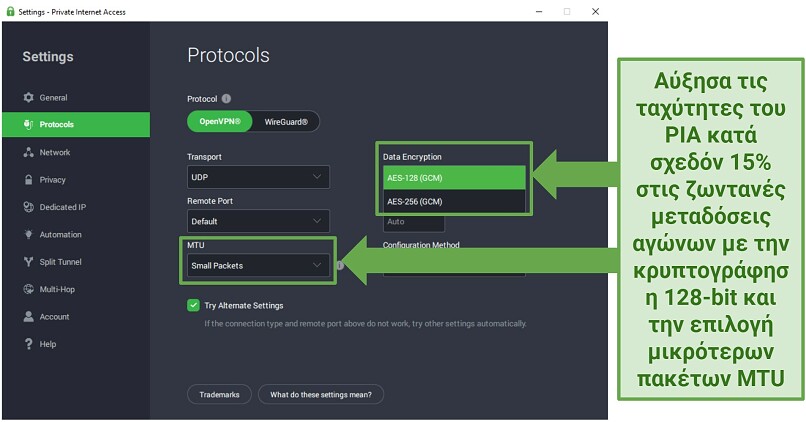 Graphic Showing PIA security settings