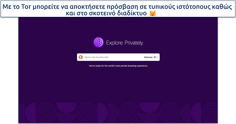 Screenshot of the Tor Browser homepage