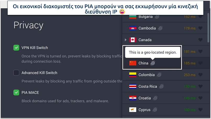 Screenshot of PIA's privacy settings and virtual servers in the app