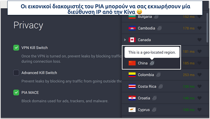 Screenshot of PIA's privacy settings and virtual servers in the app